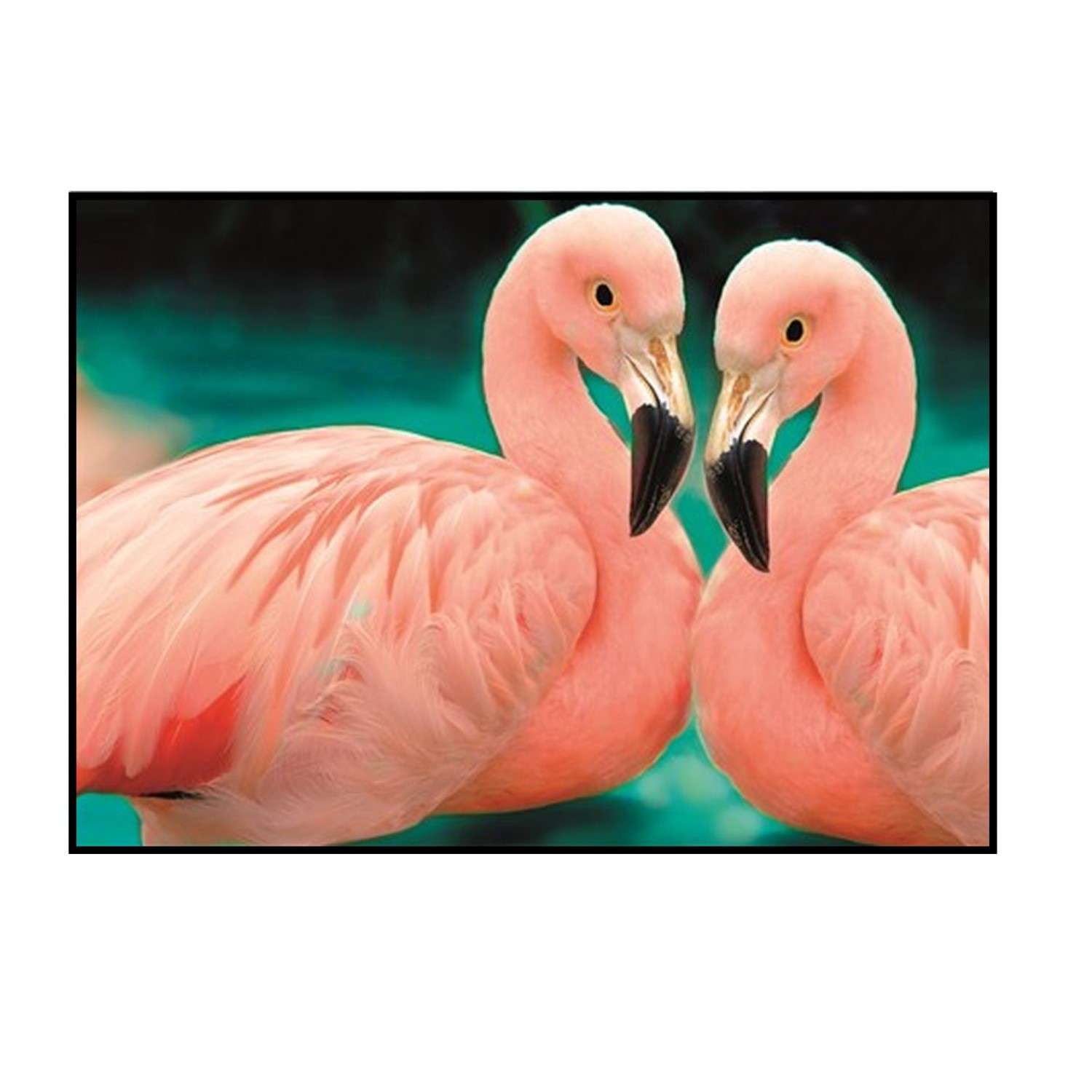 Алмазная мозаика Seichi Два розовых фламинго 30х40 см - фото 2