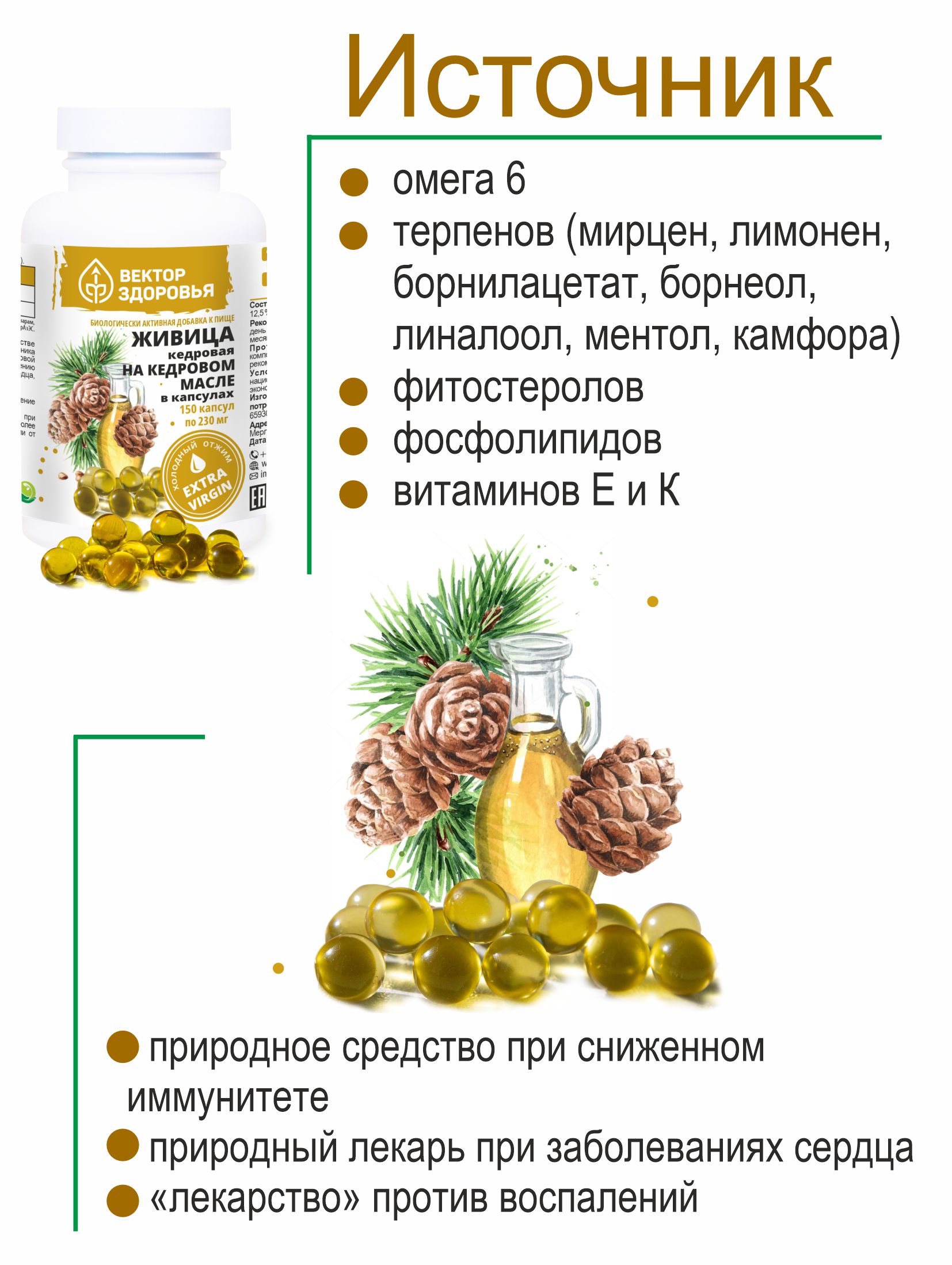 Растительные концентраты Алтайские традиции Живица кедровая на кедровом масле 150 капсул - фото 2