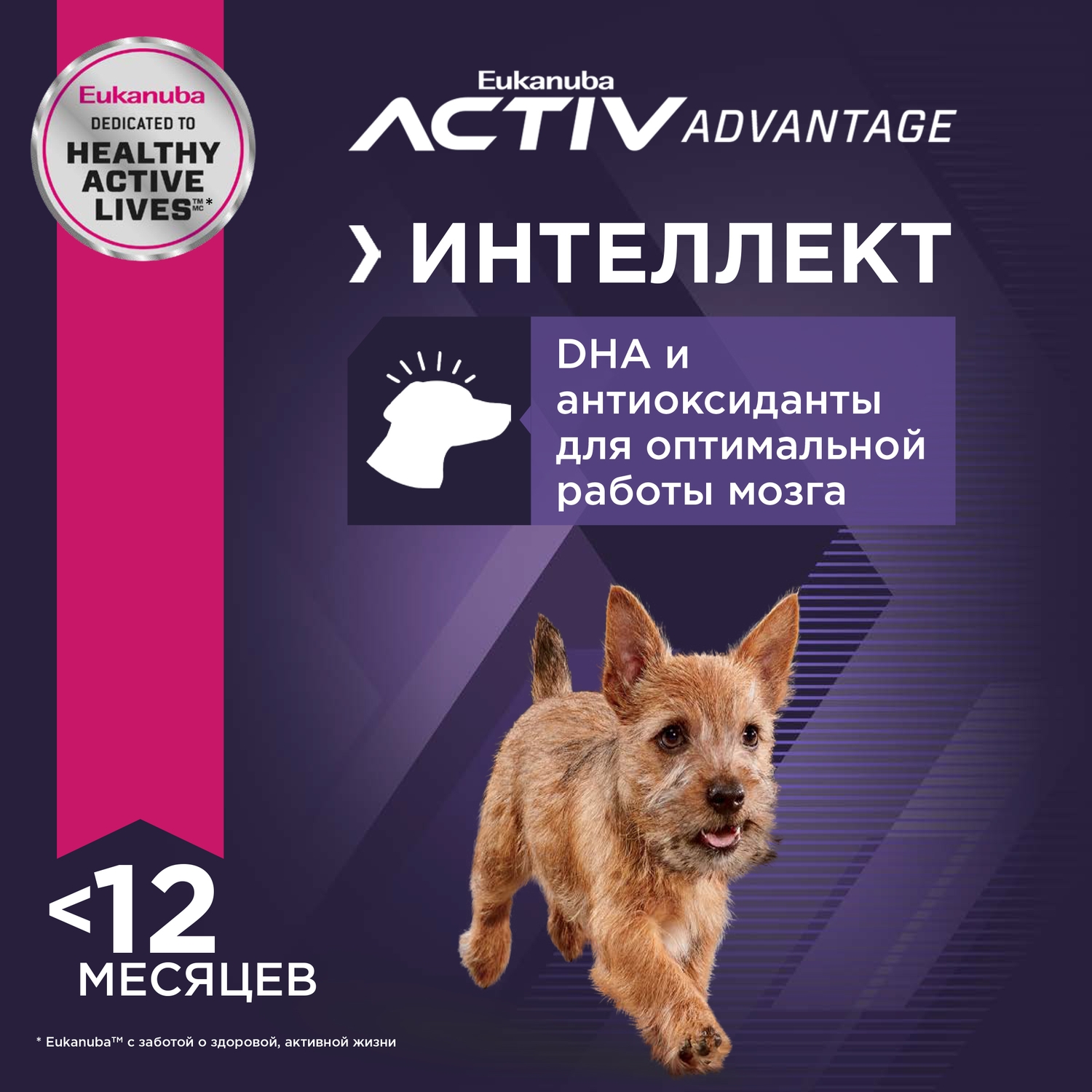 Сухой корм для собак Eukanuba 10 кг птица (полнорационный) - фото 5