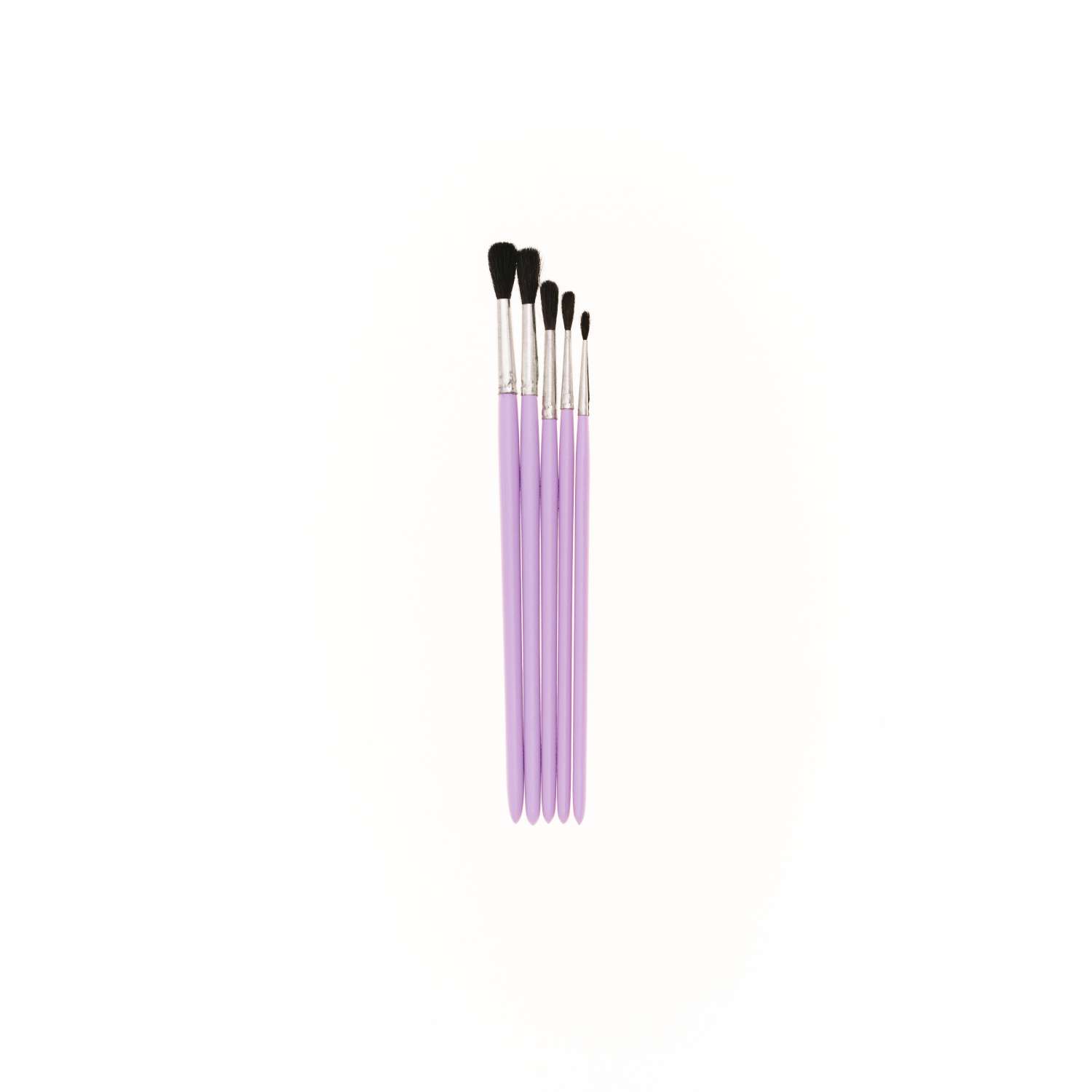 Кисти для рисования набор SwanAm Фруктики белка круглая № 1 2 3 4 5 цветная ручка - фото 1