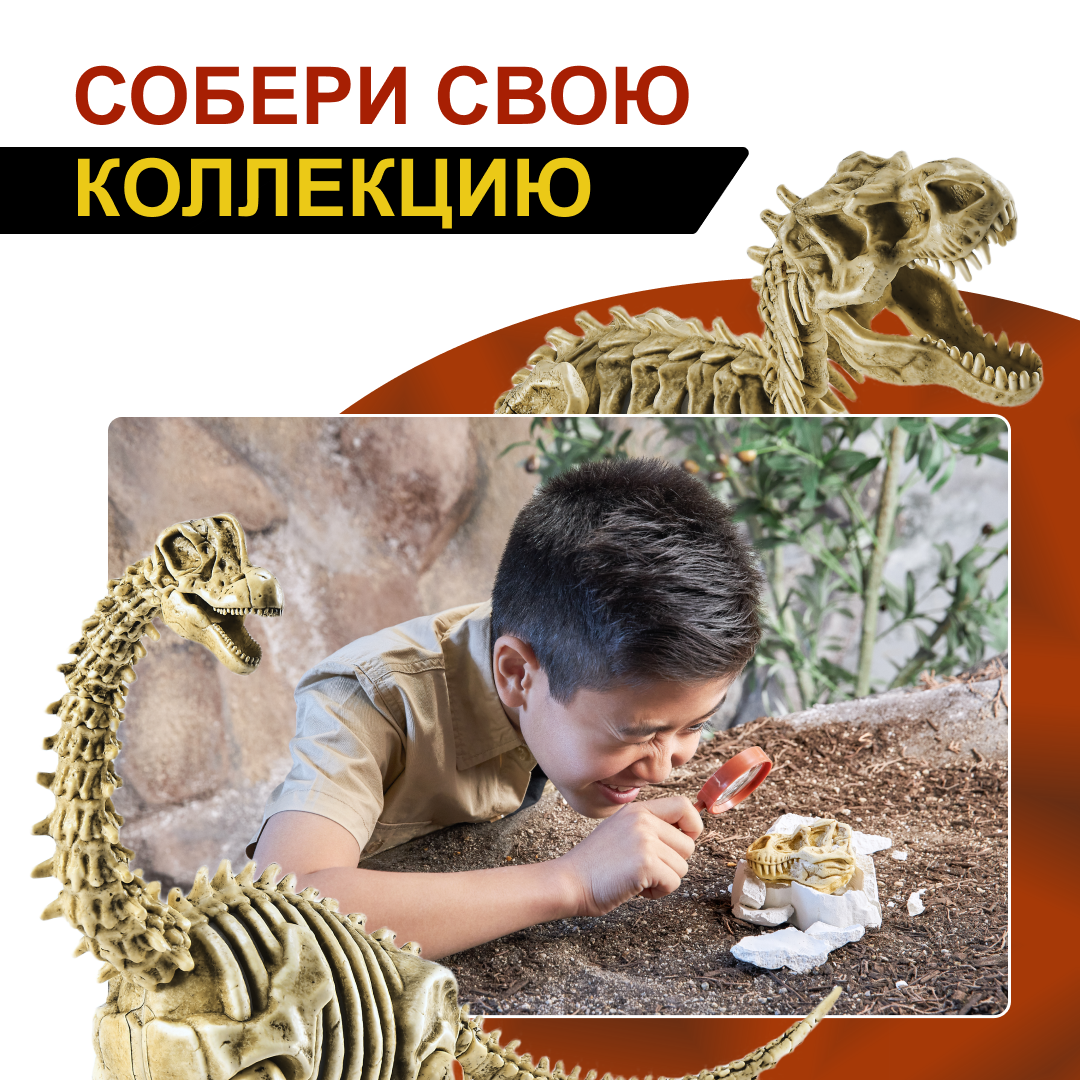Набор игровой Zuru Robo Alive Mega Dino Fossil Find Яйцо в непрозрачной упаковке (Сюрприз) 71102 - фото 6