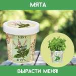 Набор для выращивания растений Rostok Visa Вырасти саам Мяту в подарочном горшке