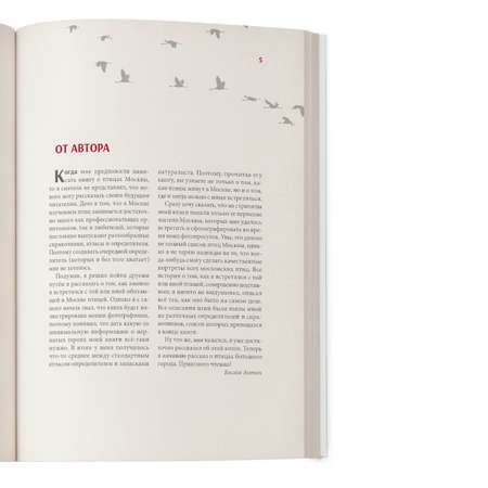 Книга Проспект Птицы большого города Пособие для бёрдвотчеров