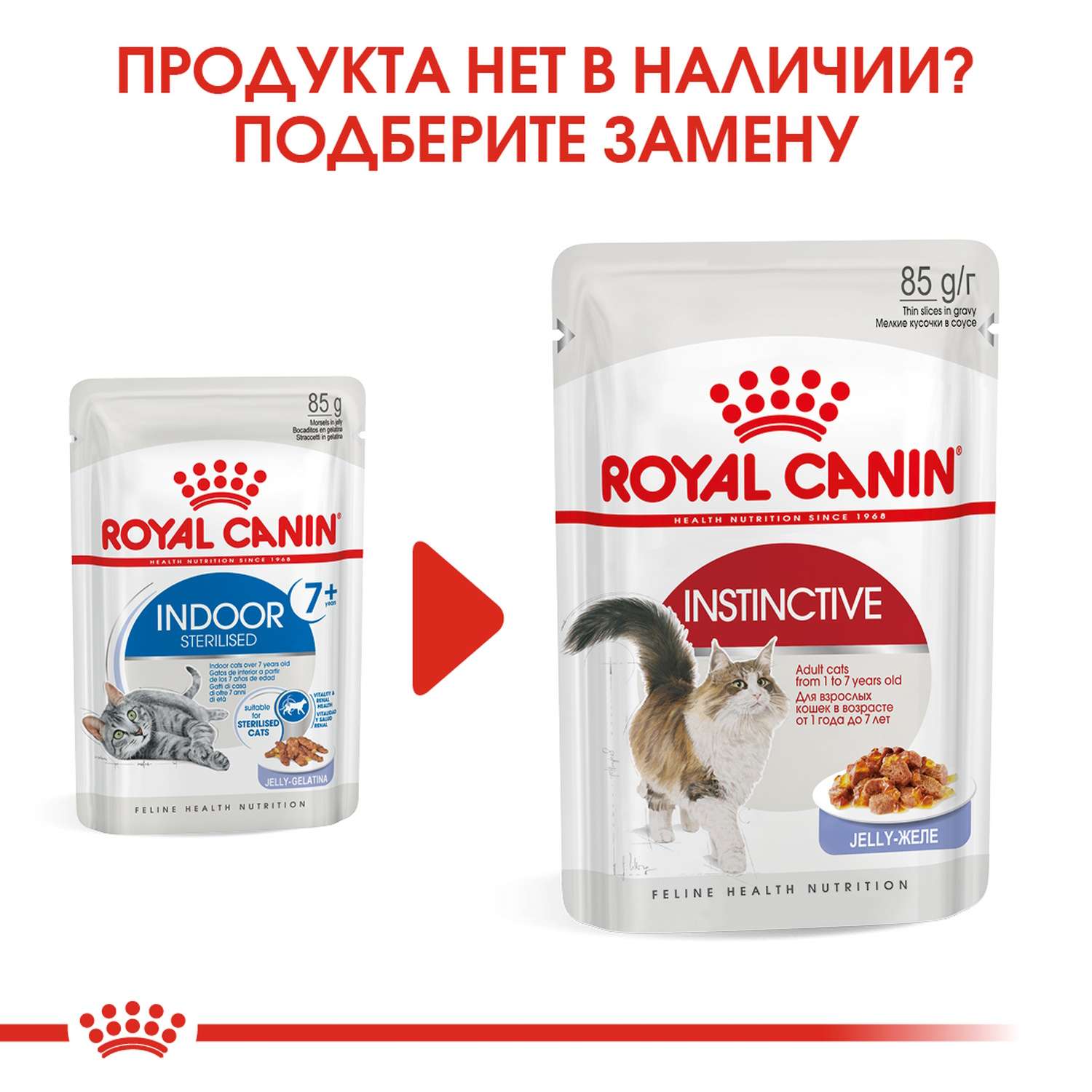 Корм для кошек ROYAL CANIN Indoor Sterilised пожилых желе 85г - фото 5