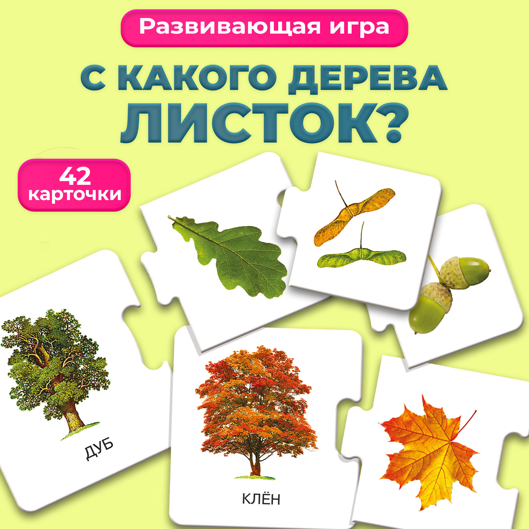 Развивающая игра Дрофа-Медиа С какого дерева листок 2896