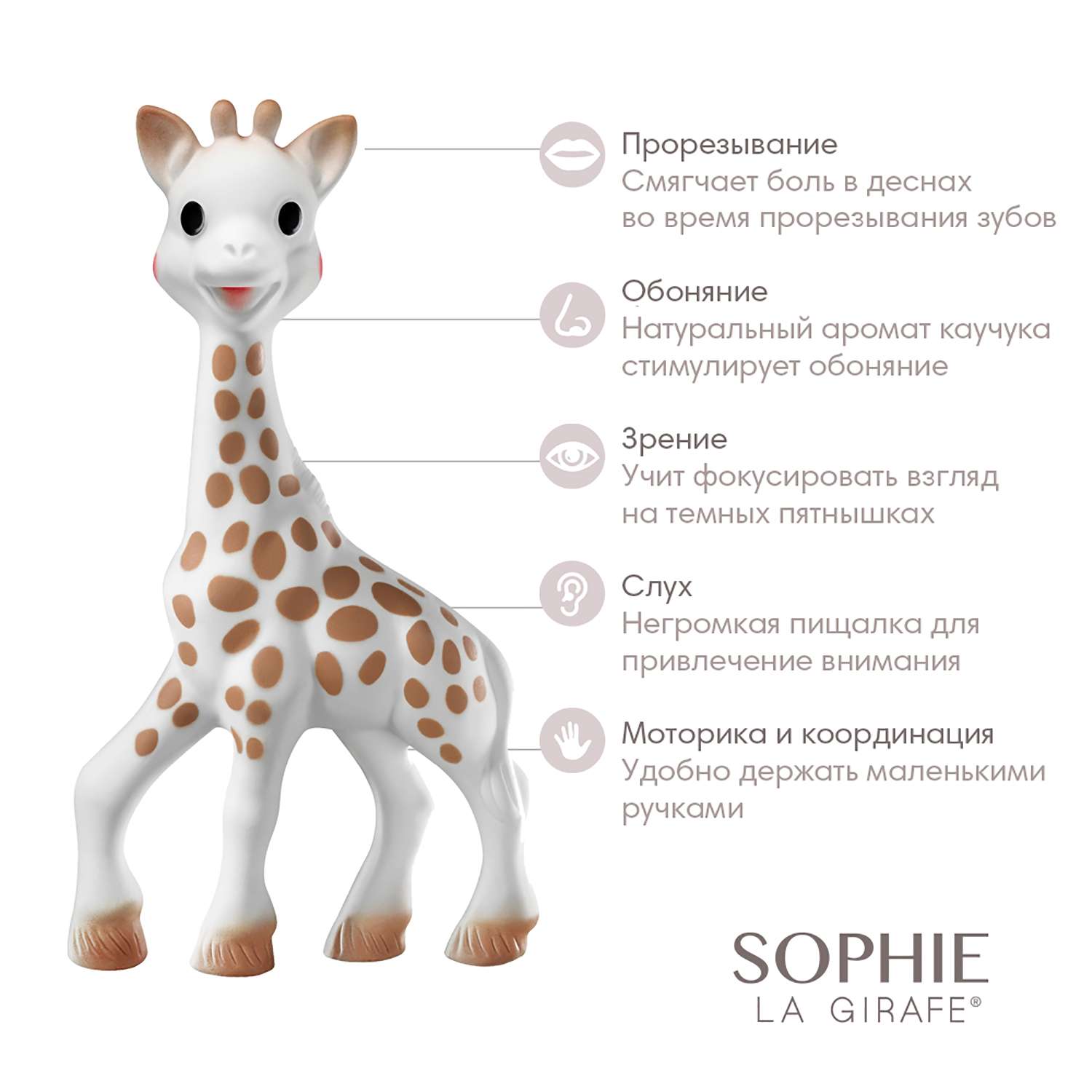 Прорезыватель Sophie La Girafe Жирафик Софи 18см 616400 - фото 7