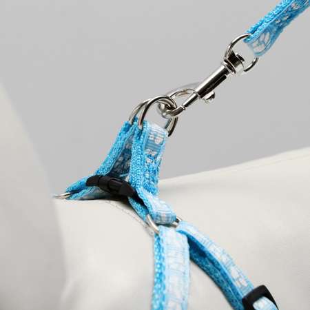 Комплект Пижон прошитый «Лапки» поводок 120 см шлейка 23-35 см голубой
