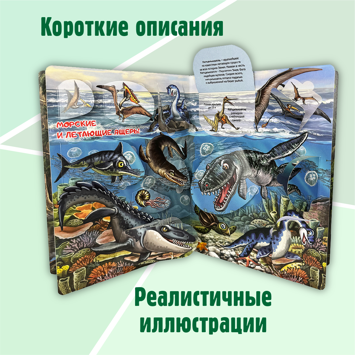 Энциклопедия с окошками BimBiMon книга детская - фото 5