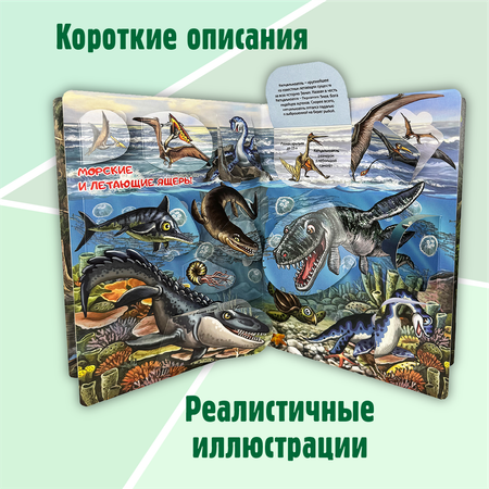 Энциклопедия с окошками BimBiMon книга детская