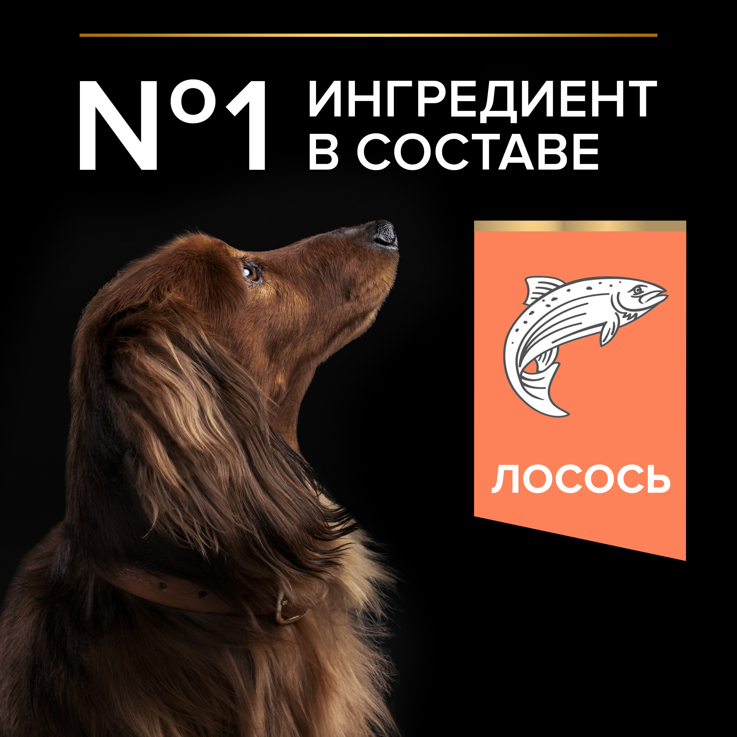 Корм для взрослых собак PRO PLAN 2.5кг+500г с лососем для собак мелких пород с чувствительной кожей - фото 6