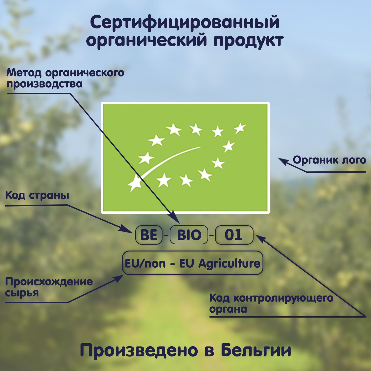 Печенье Fleur Alpine Первое с виноградным соком 150г с 6месяцев - фото 11