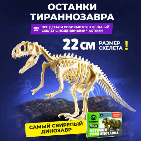 Набор археологический DINOHIT Раскопки для детей 5в1