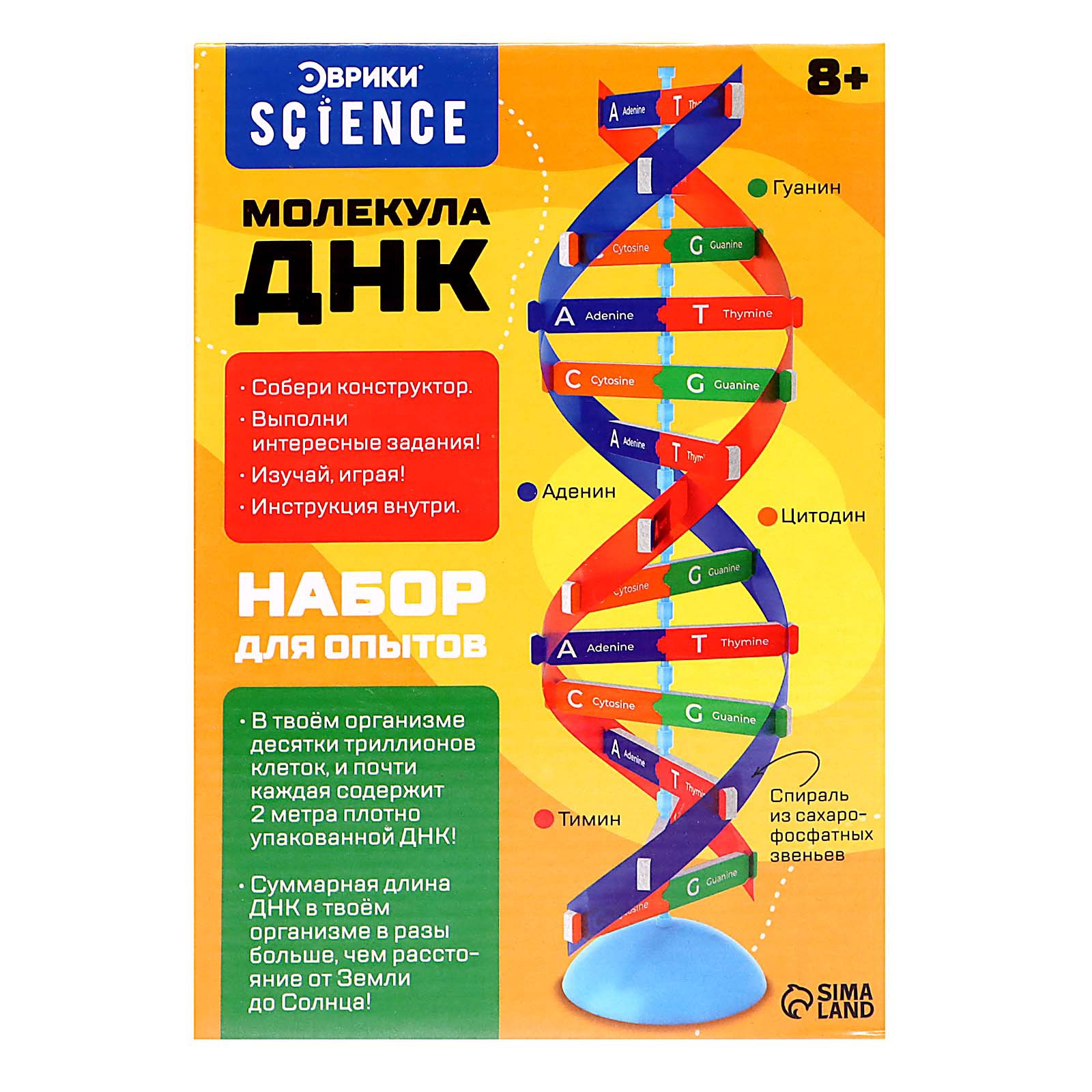 Набор Эврики Для опытов «Молекула ДНК» - фото 1