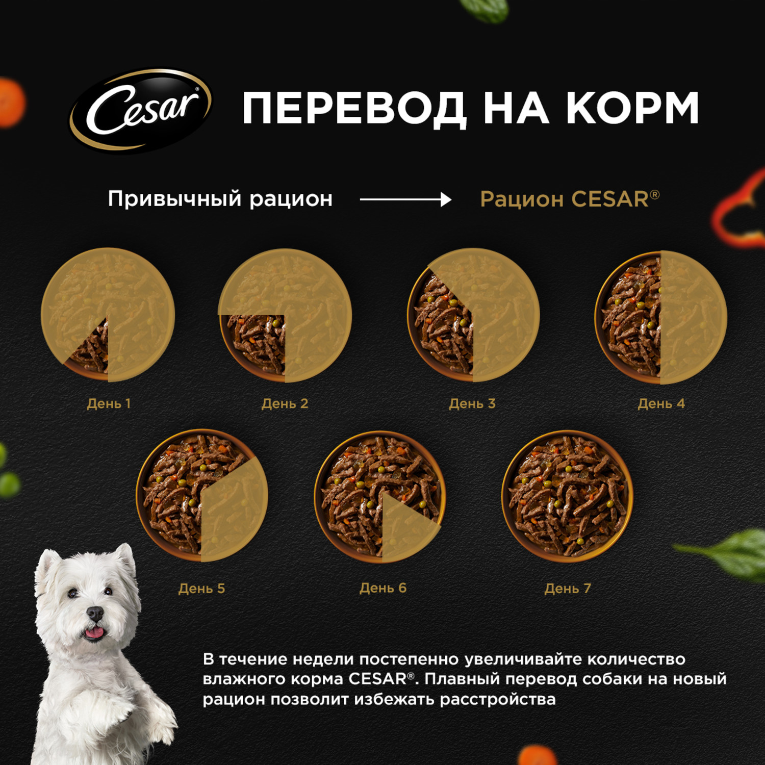 Корм для собак Cesar 80г Natural Goodness взрослых с говядиной паприкой и шпинатом в соусе - фото 9