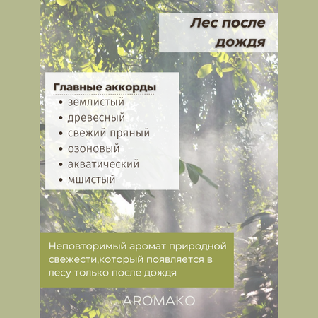 Масло для увлажнителей AromaKo Лес после дождя 5 мл