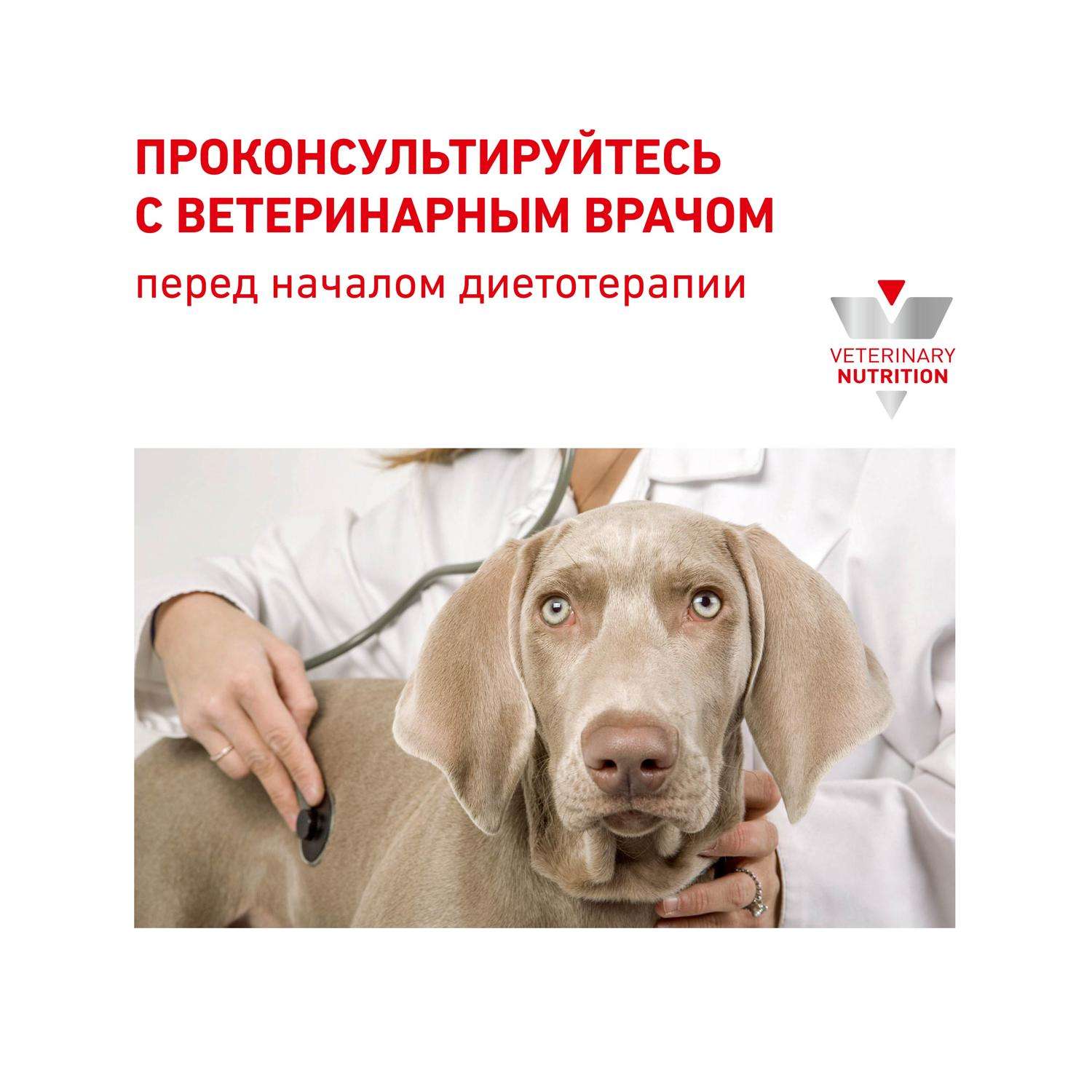 Корм для собак ROYAL CANIN Gastrointestinal low fat мелких пород 1кг - фото 8