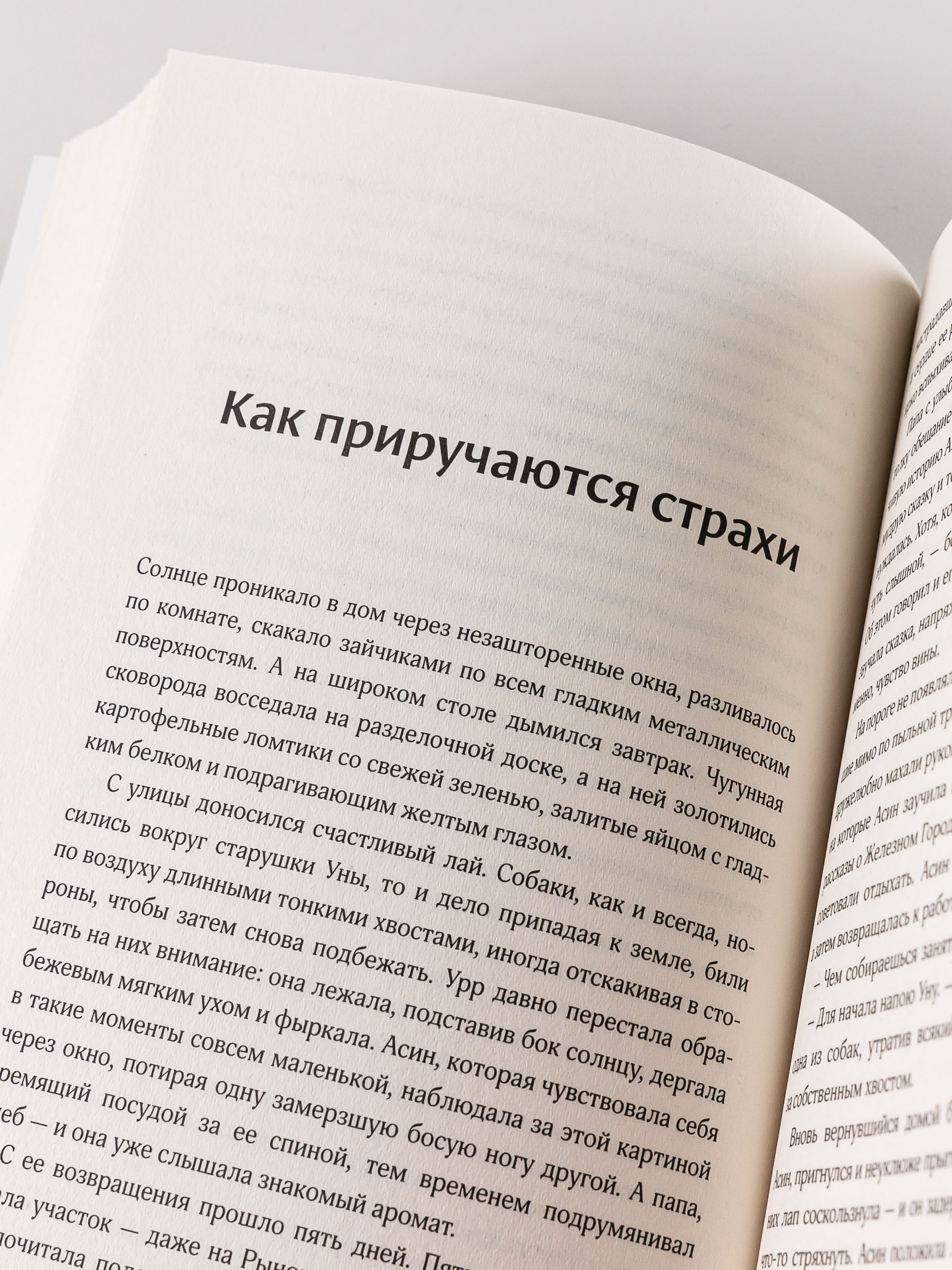 Книга Marshmallow Books Поймать океан купить по цене 573 ₽ в  интернет-магазине Детский мир