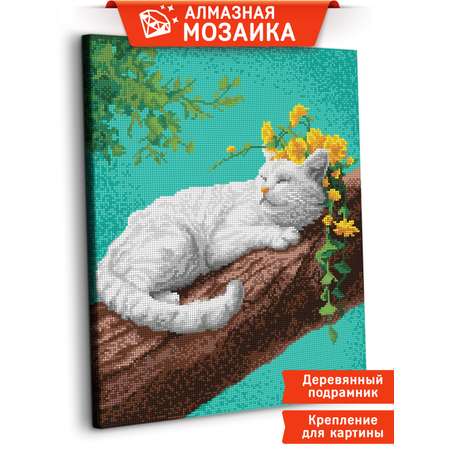 Алмазная мозаика Art sensation холст на деревянном подрамнике 40х50 см Деревенский кот