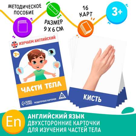 Карточки развивающие Лас Играс Части тела