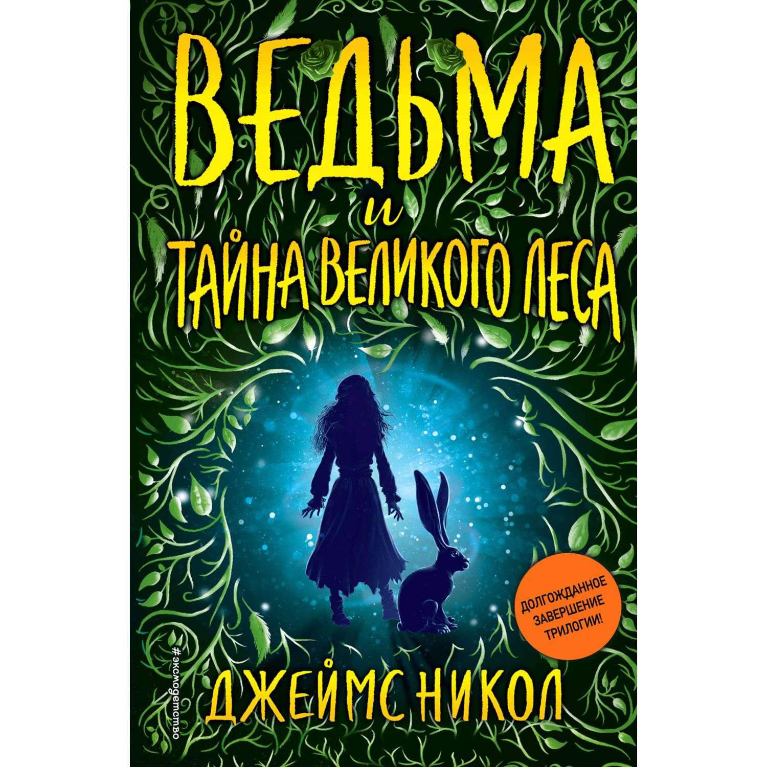 Книги про ведьм. Ведьма с книжкой. Книга колдунья. Книги про ведьм и магию.