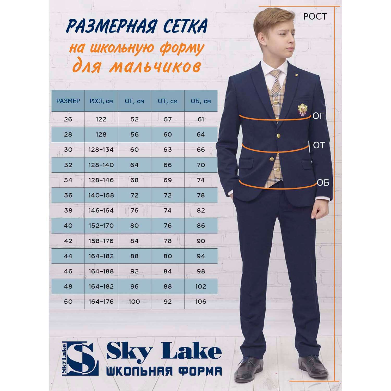 Брюки Sky Lake 1035 Дэвид синий - фото 5