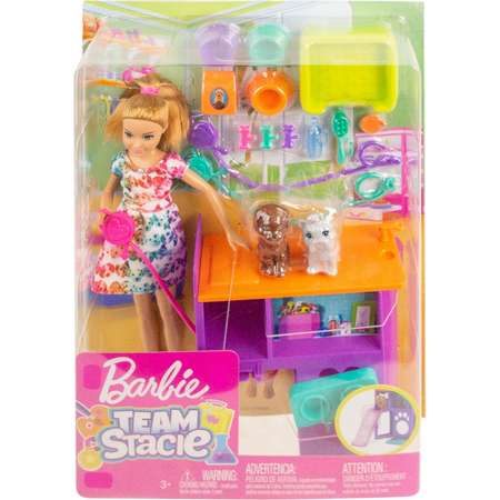 Набор игровой Barbie Семья Стейси с щенками на площадке GFF48