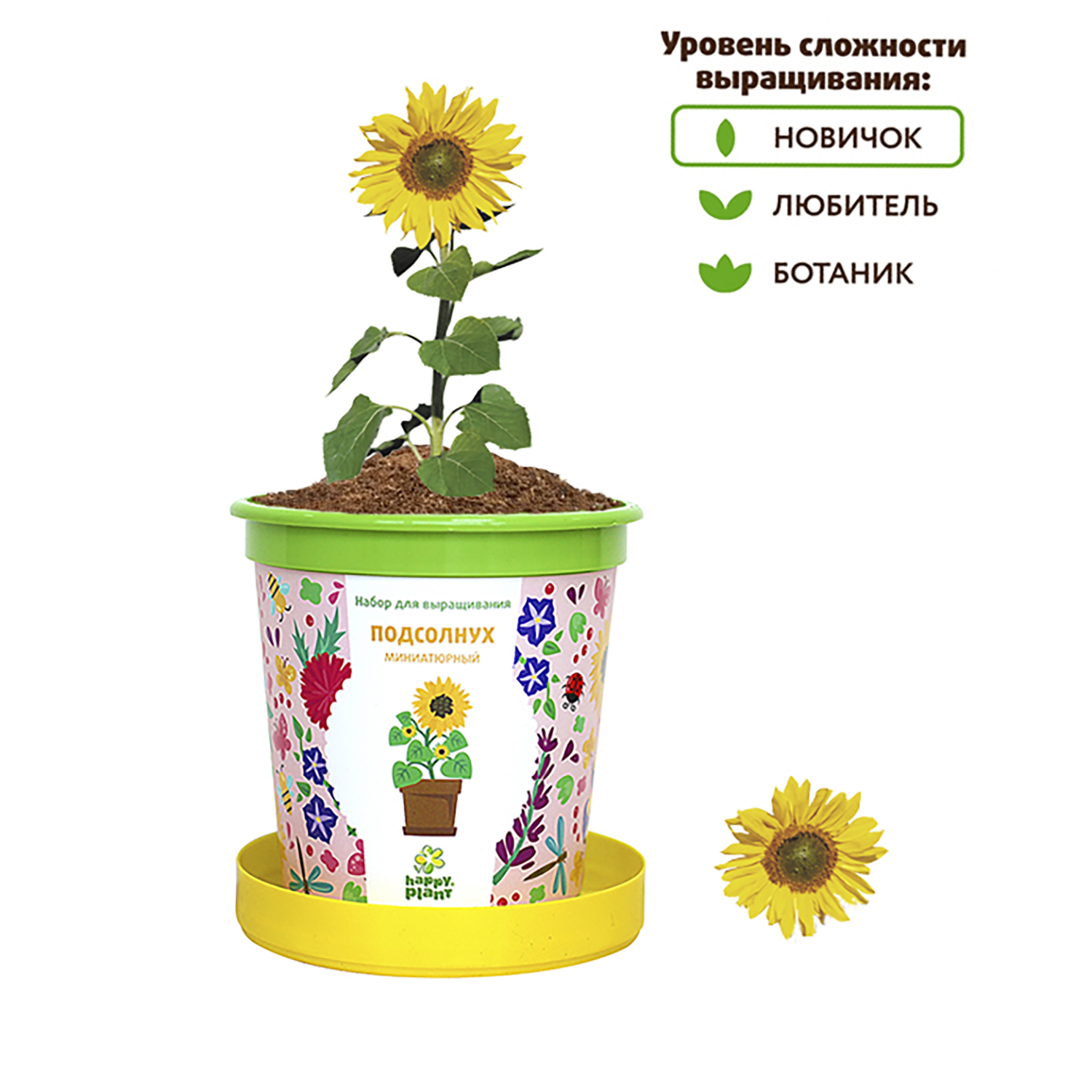 Набор для выращивания Happy Plant Вырасти сам растение в горшочке Подсолнух  миниатюрный купить по цене 335 ₽ в интернет-магазине Детский мир