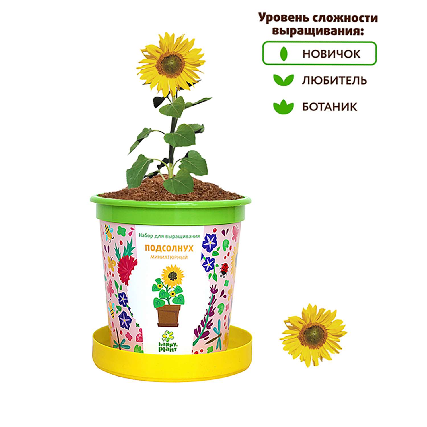 Набор для выращивания Happy Plant Вырасти сам растение в горшочке Подсолнух миниатюрный - фото 6