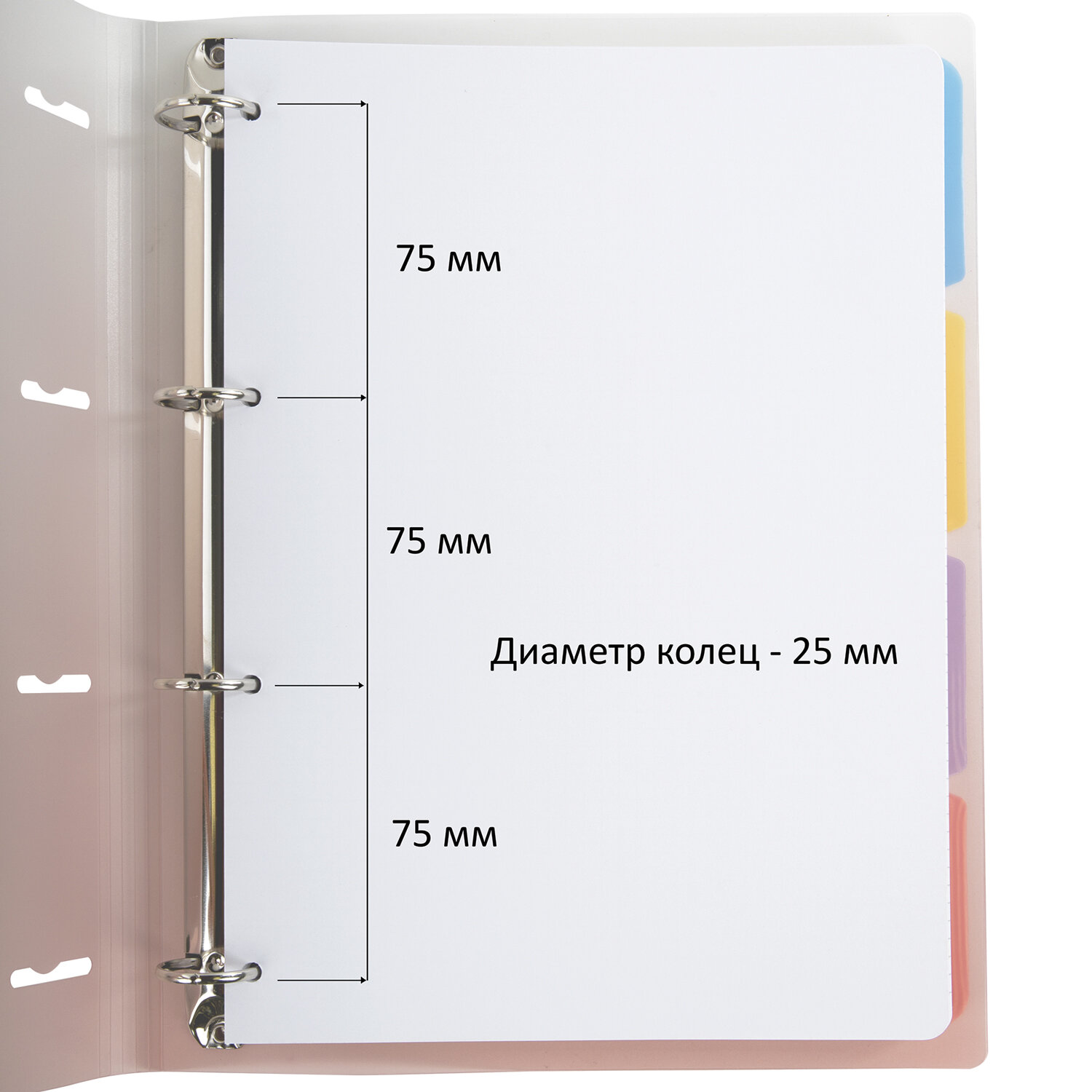 Тетрадь на кольцах Brauberg А4 со сменным блоком большая 120 листов с разделителями - фото 4