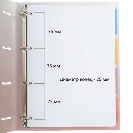 Тетрадь на кольцах Brauberg А4 со сменным блоком большая 120 листов с разделителями