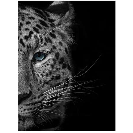 Картина на холсте LOFTime Леопард половинка 30*40