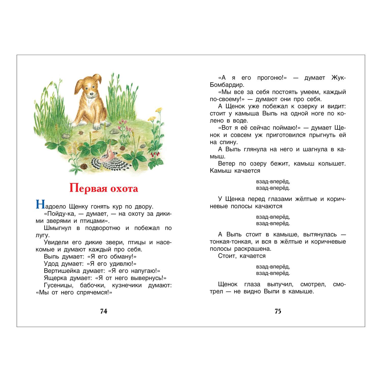Рассказы о животных внеклассное чтение 4 класс. Первая охота Бианки читать. В. Бианки "первая охота". Бианки музыкант Сова. Рассказ Бианки музыкант.
