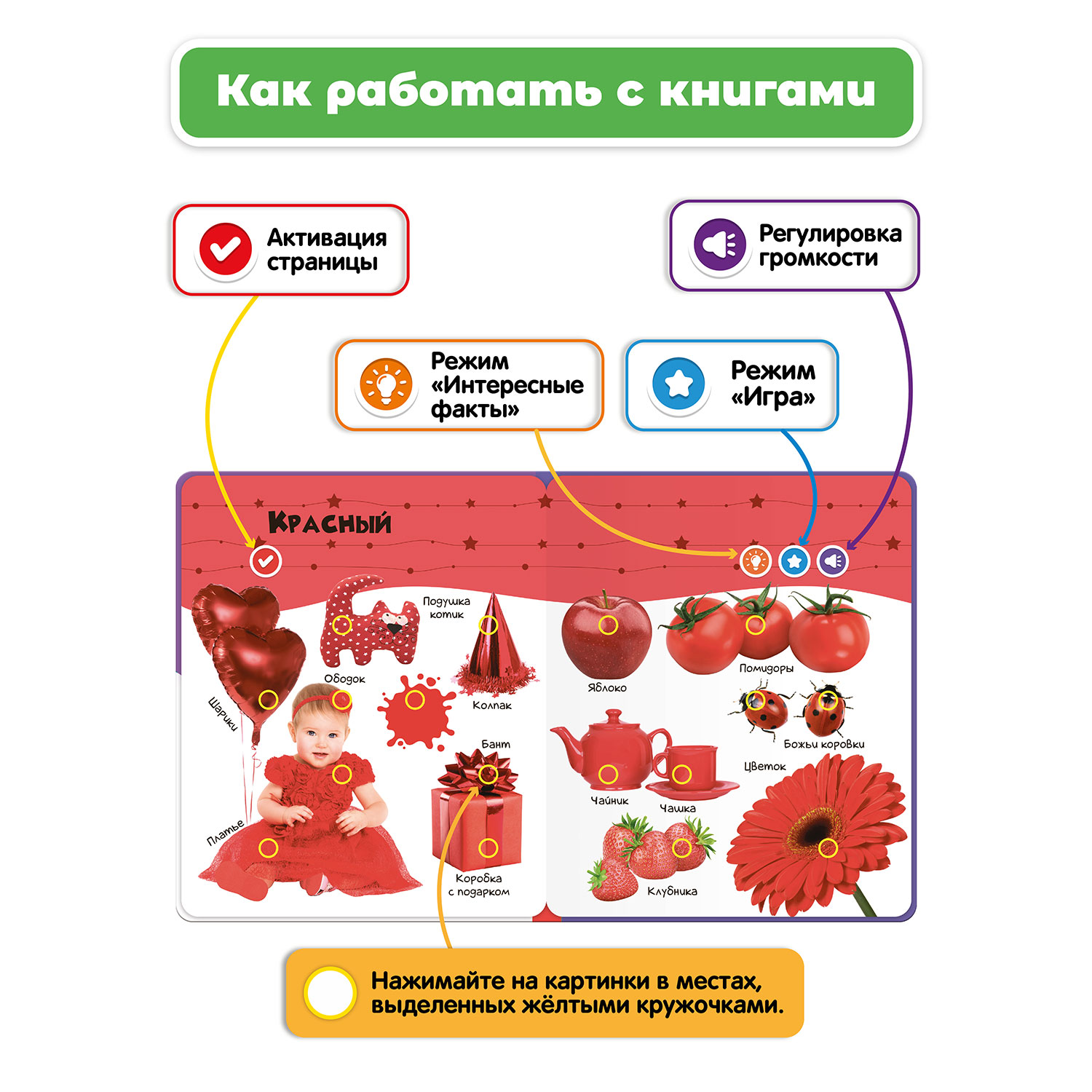 Комплект говорящих книжек BertToys Нажималки: Я и Мир Вокруг + Цвета - фото 6