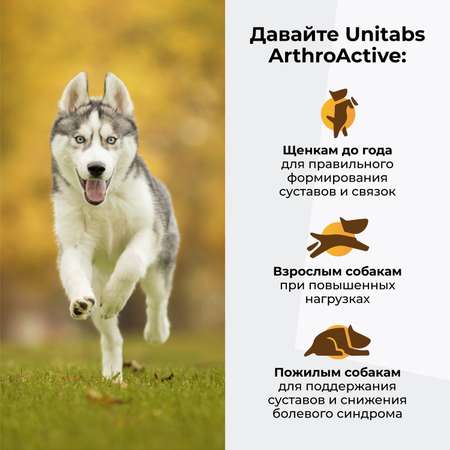 Витамины для собак Unitabs ArthroАctive с Q10 100таблеток