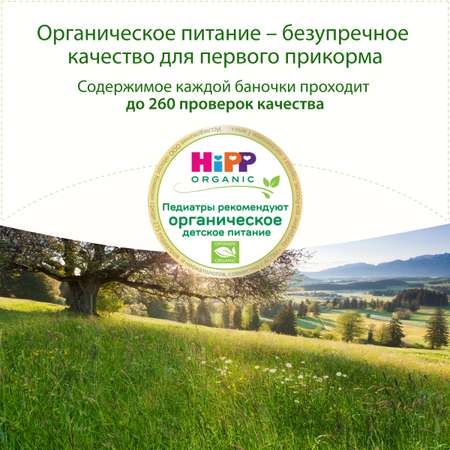 Борщ Hipp говядина 190 г с 8 месяцев