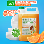 Средство для мытья посуды SEPTIVIT Premium Сочный цитрус 5л