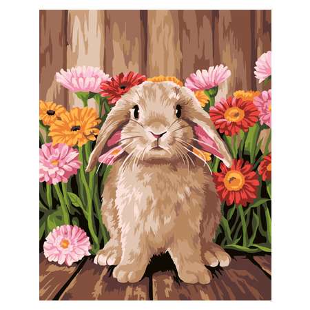 Картина по номерам Hobby Paint холст на деревянном подрамнике 40х50 см Милый кролик