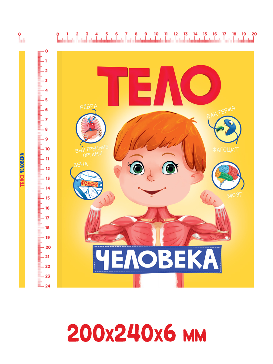 Книга Проф-Пресс Тело Человека - фото 9