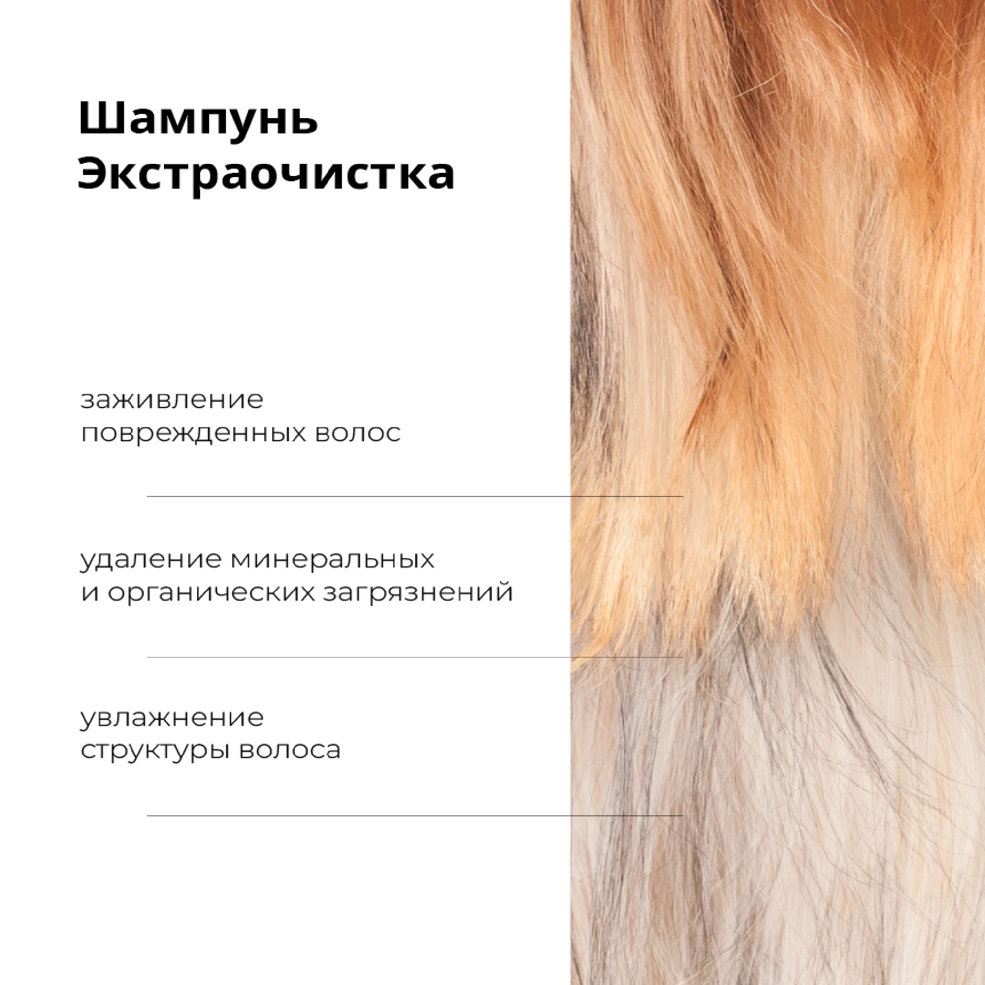 Шампунь for Yorks PrimeClean ProAnimal для йорков профессиональный очищающий для собак - фото 3