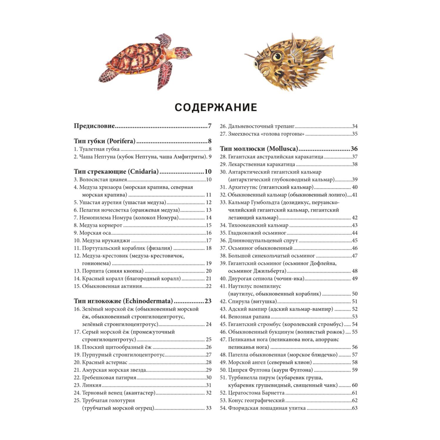 Книга Подводный мир Большая иллюстрированная энциклопедия - фото 2