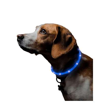 Ошейник для собак ZDK ZooWell силиконовый со светодиодами синий 70 см