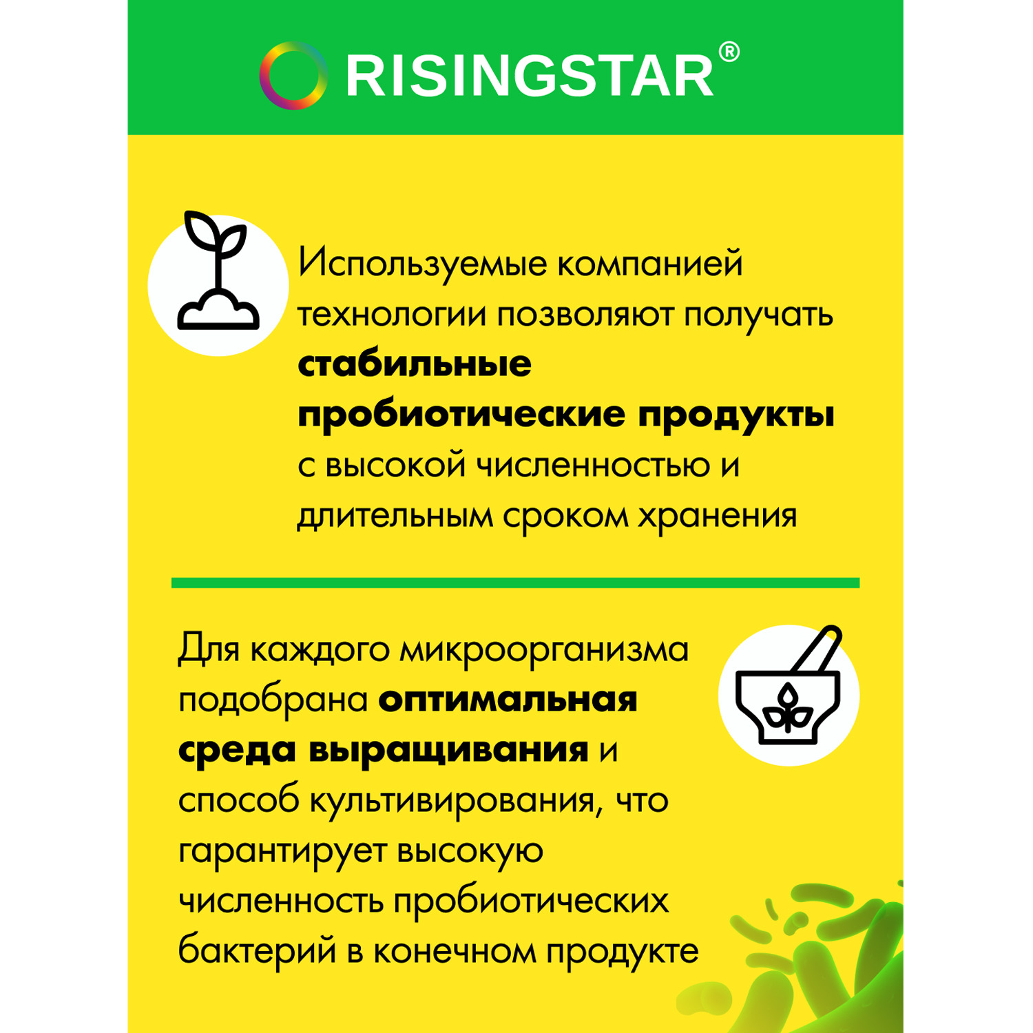 Биологически активная добавка Risingstar Неозим 60капсул - фото 5