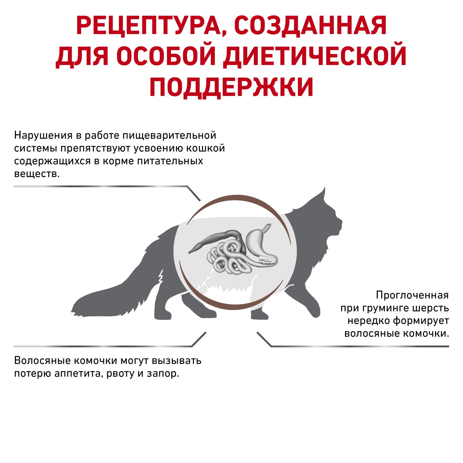 Сухой корм для кошек ROYAL CANIN Gastro Intestinal 0.4 кг (при чувствительном пищеварении, лечебный) - фото 2