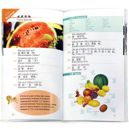 Книга для говорящей ручки ЗНАТОК Обиходный китайский язык. 900 фраз