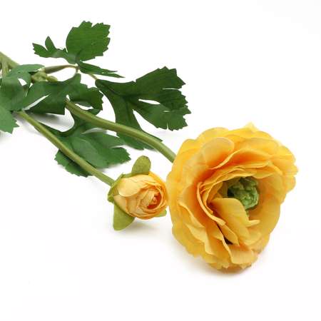 Цветок искусственный Astra Craft Ранункулюс 60 см цвет желтый