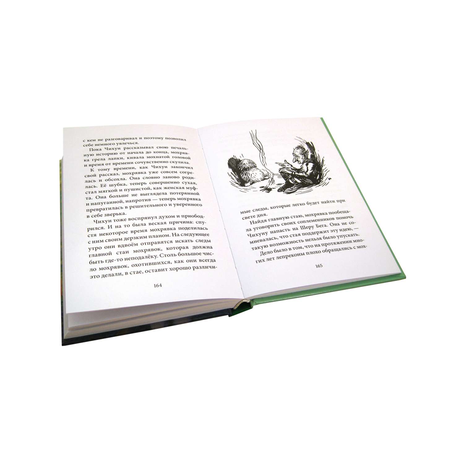 Комплект из 5-ти книг/ Добрая книга / Билл Барсук 1+2+3+ Гномы Боландского леса+ Волшебник - фото 19