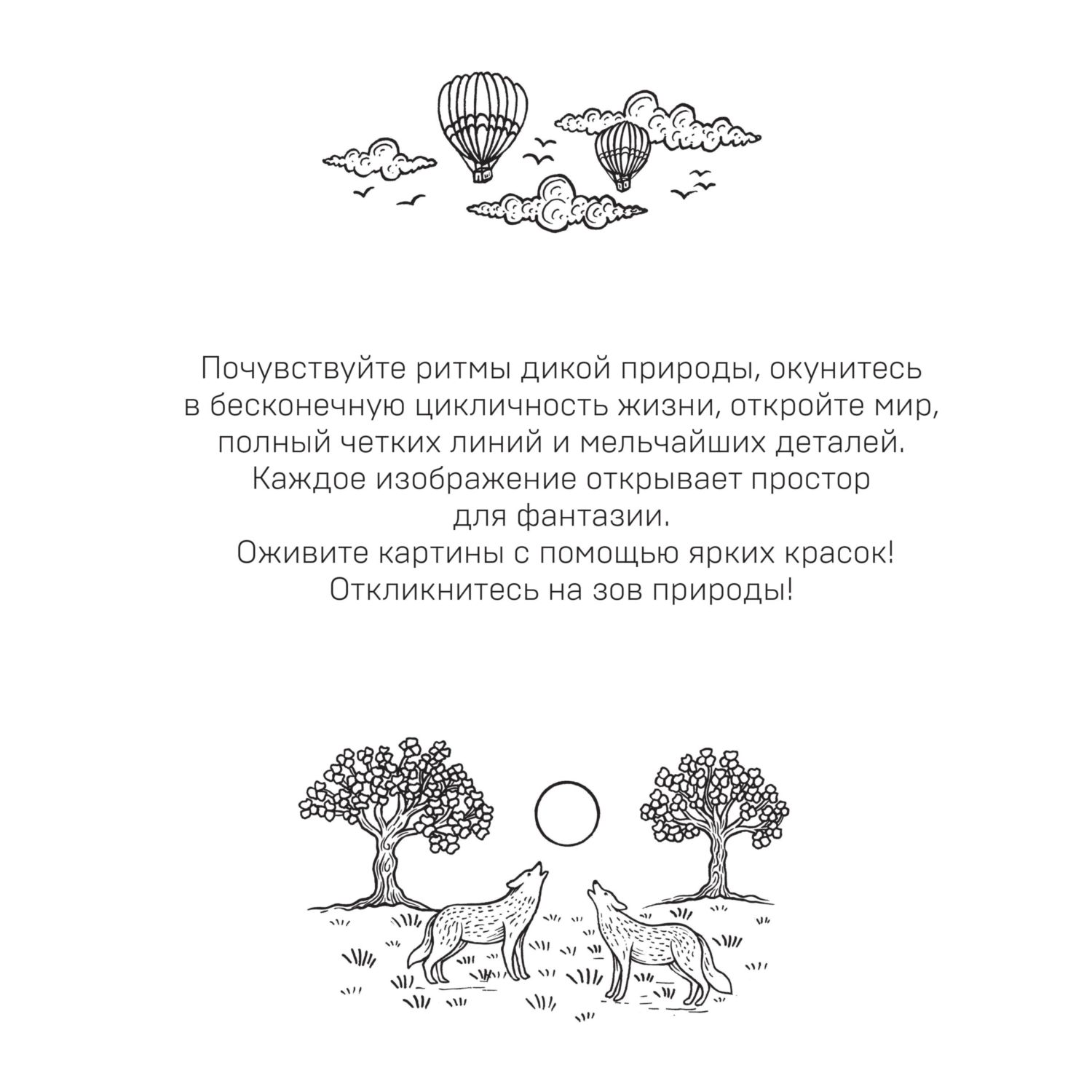 Книга Эксмо Круг жизни. Вдохновляющие раскраски - фото 2