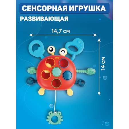 Игрушка развивающая Smart Baby Крабик Сортер Прорезыватель для малышей