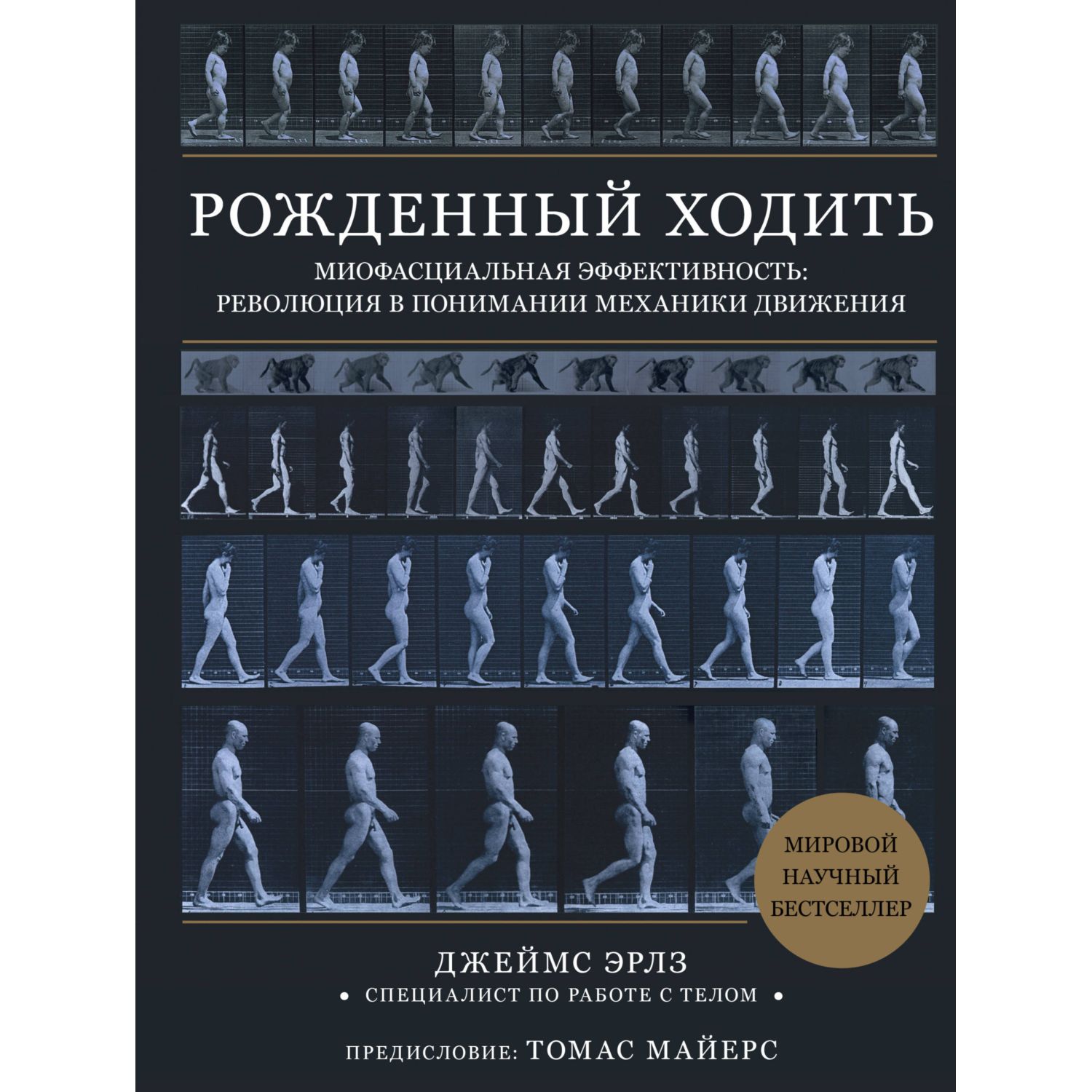 Книга ЭКСМО-ПРЕСС Рожденный ходить Миофасциальная эффективность революция в понимании механики движения - фото 3