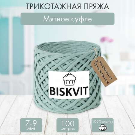 Трикотажная пряжа BISKVIT Мятное суфле